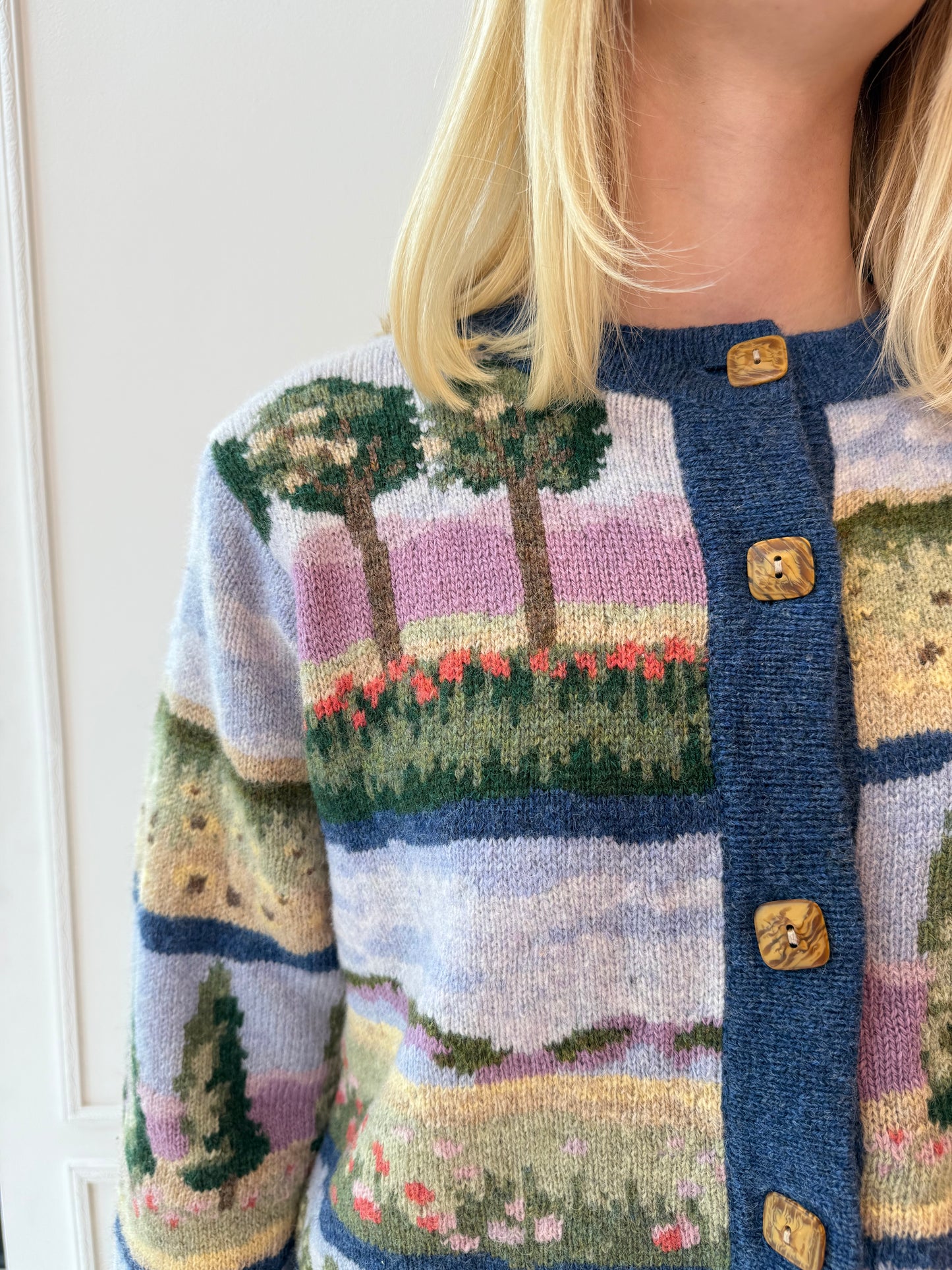 Vintage Landscape Scene Cardigan Wool 90s-y2k